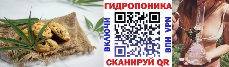 где купить наркоту  Суворов  shop формула  Canna-Cookies марихуана 