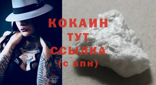 твердый Арсеньев