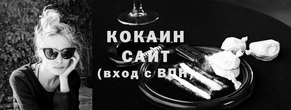 твердый Арсеньев