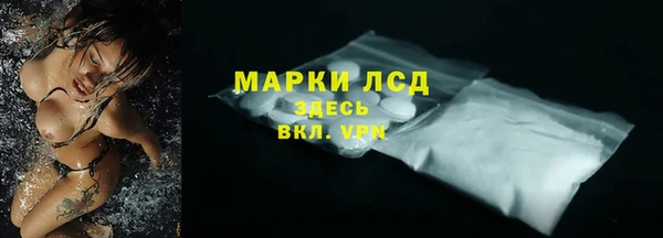 твердый Арсеньев