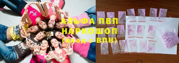 твердый Арсеньев