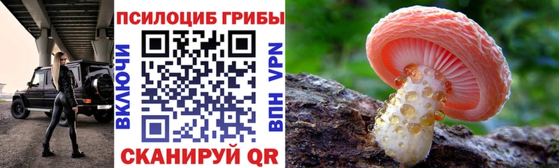 Галлюциногенные грибы прущие грибы  Суворов 