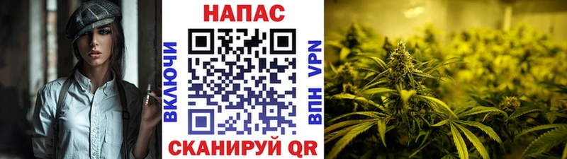 Марихуана индика Суворов